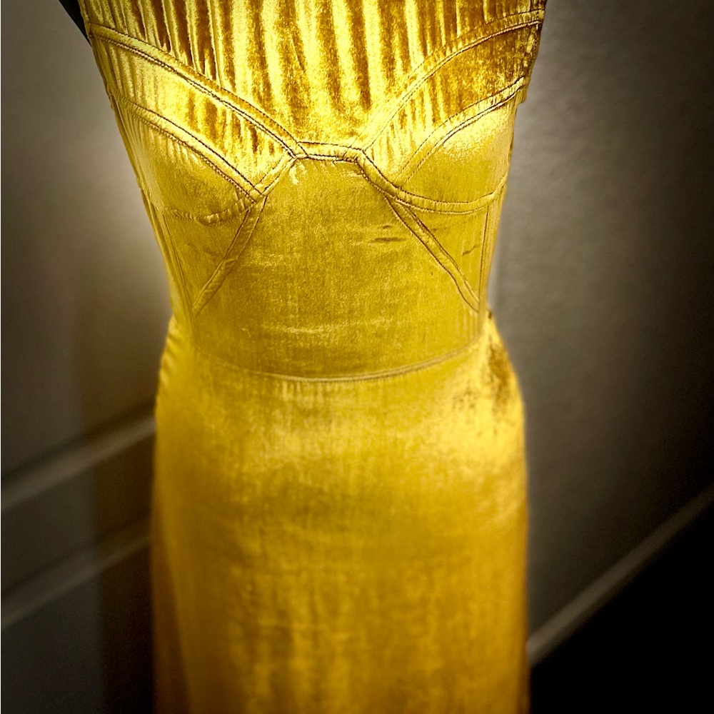 Tome Gold Velvet Dress - All reasonable offers considered